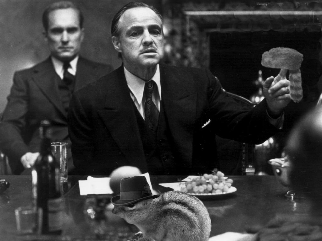 Photoshop Design by BrigitteN for DesignCrowd (Community Contests) | Design #8974851