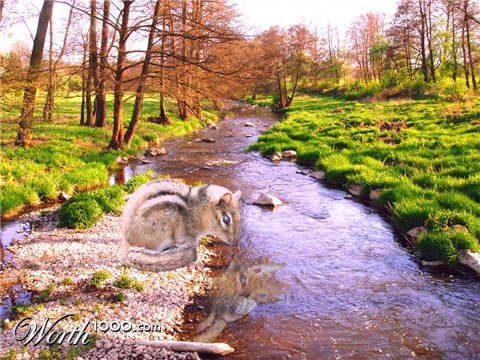 Photoshop Design by DaQuietWun