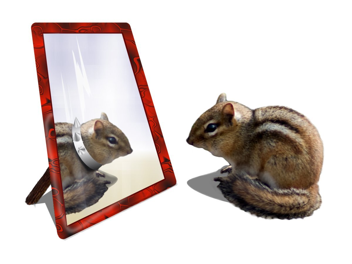 Photoshop Design by GrandmaNita for DesignCrowd (Community Contests) | Design #8974848