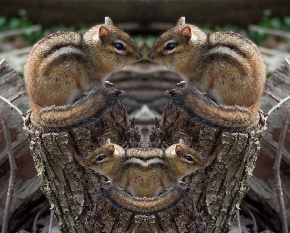 Photoshop Design by Colin841 for DesignCrowd (Community Contests) | Design #8974822