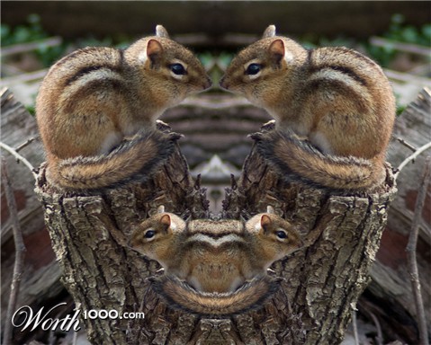 Photoshop Design by Colin841