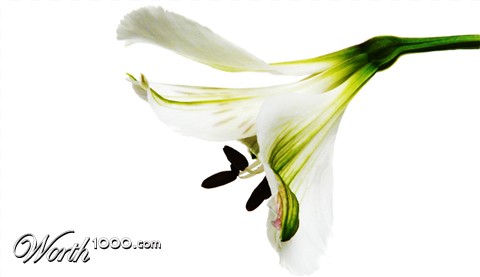 Photography by mehere