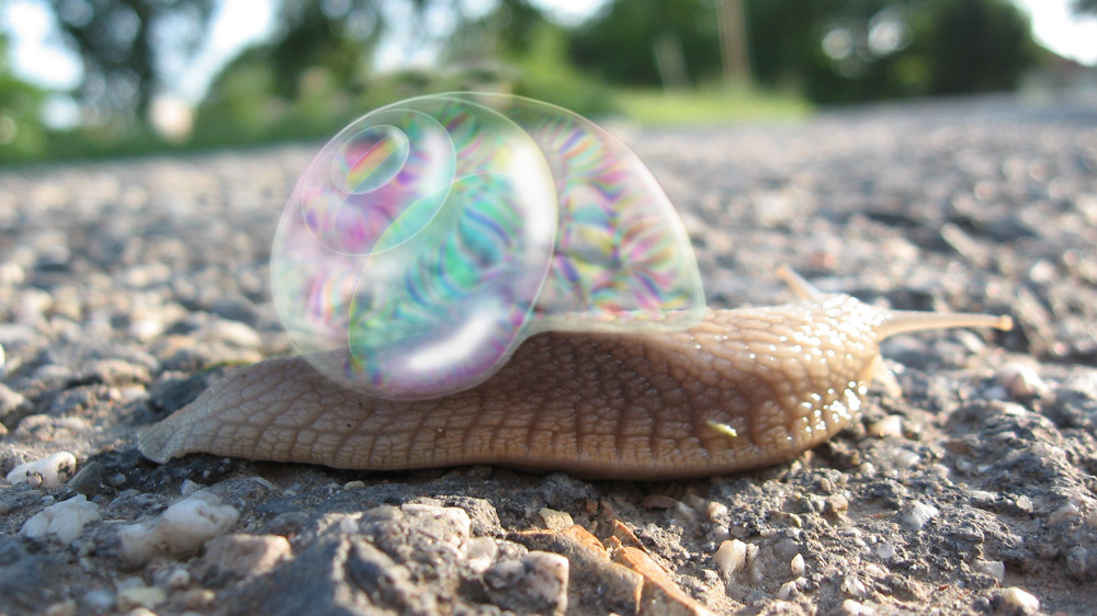 Design Photoshop par sheriad pour DesignCrowd (Community Contests) | Design #8974548