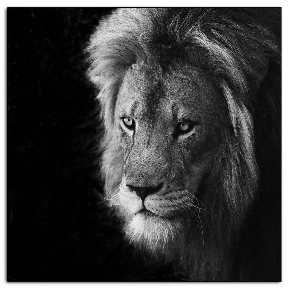 Fotografía por kimbomac para DesignCrowd (Community Contests) | Diseño #8971496