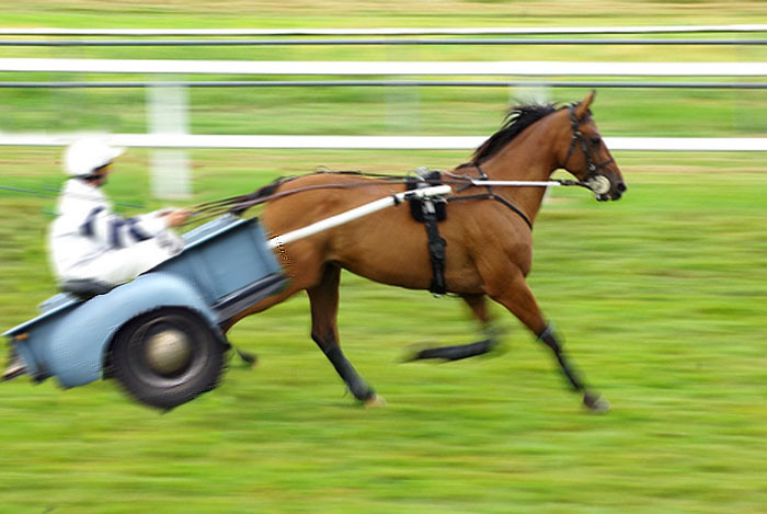 Diseño de Photoshop por naranjas109 para DesignCrowd (Community Contests) | Diseño #8980625