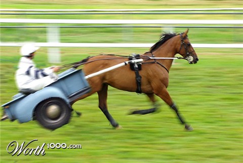 Photoshop Design by naranjas109