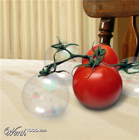 Photoshop Design by lucimine