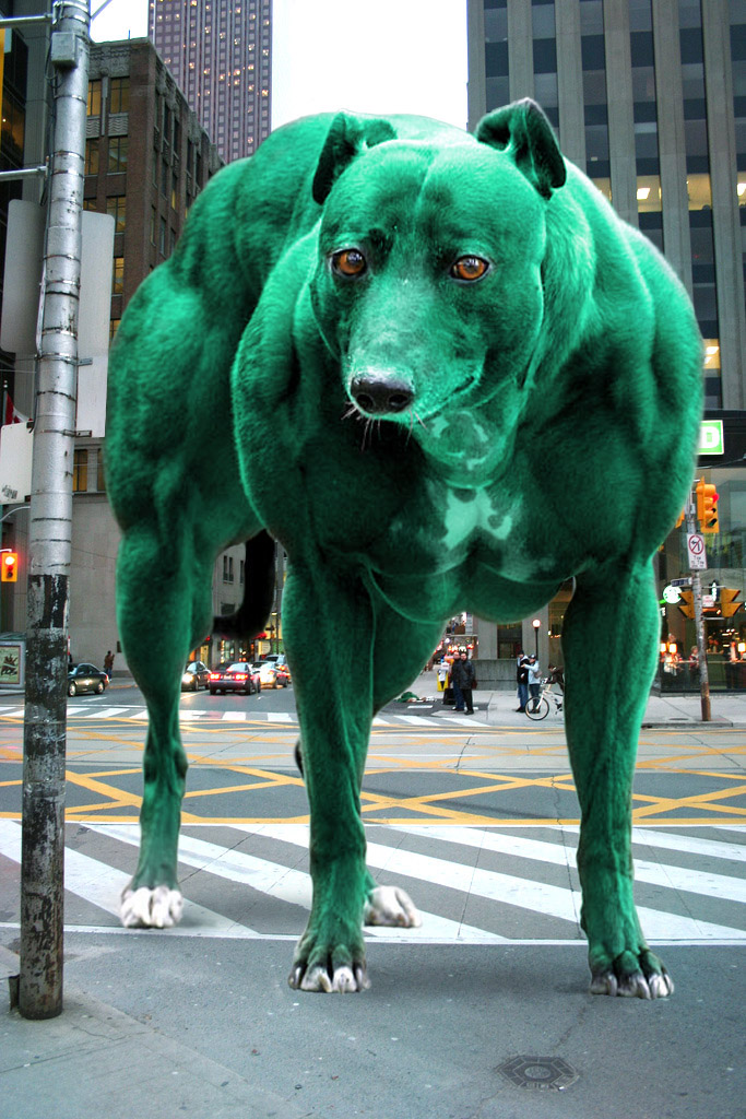 Photoshop Design by mzpresto for DesignCrowd (Community Contests) | Design #8974754