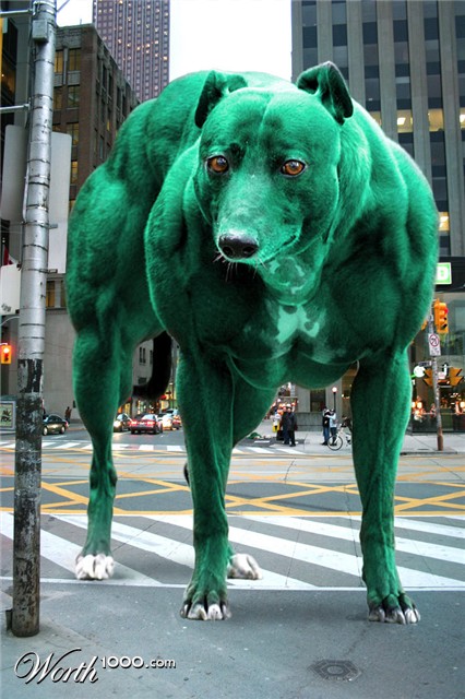 Photoshop Design by mzpresto