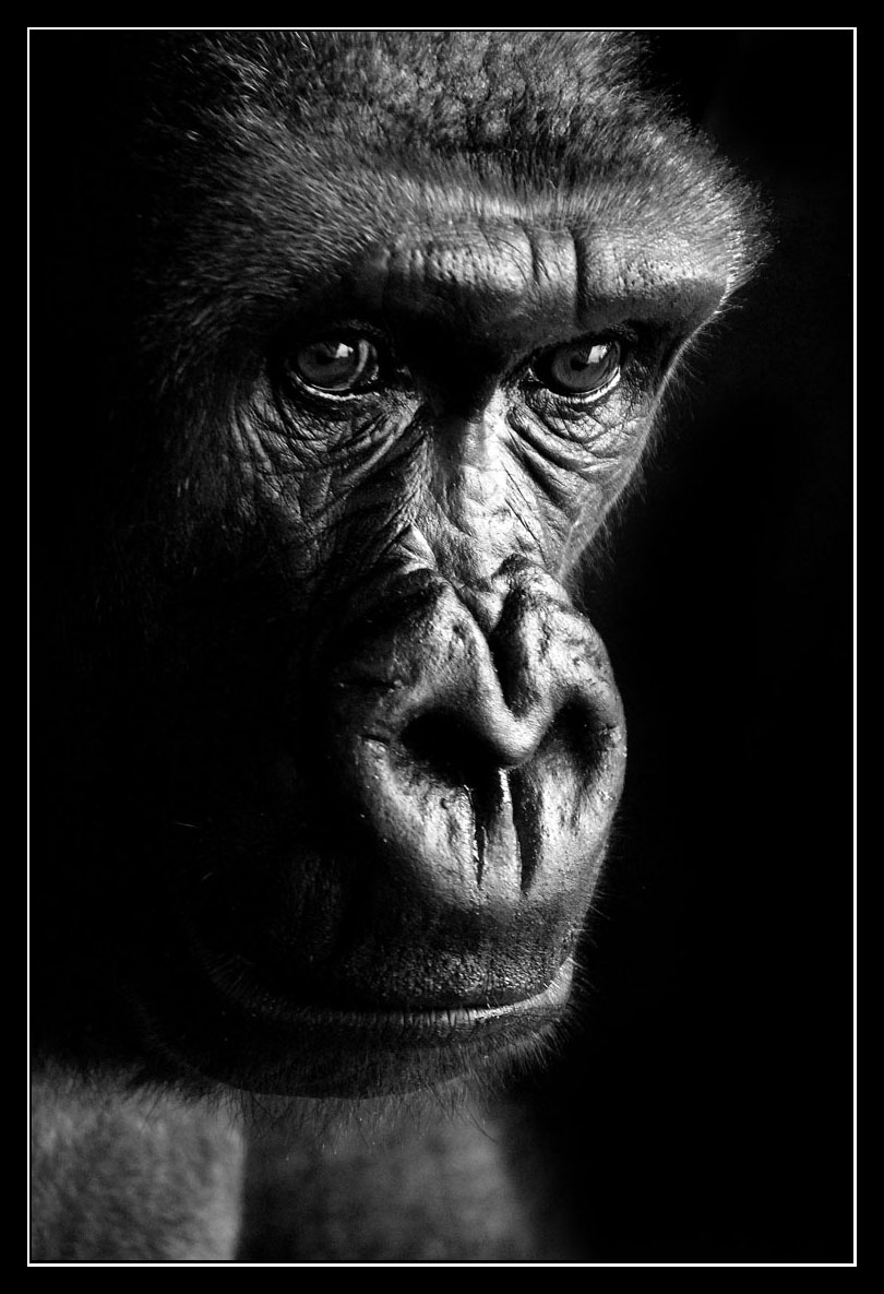 Photography by Craigr1978 for DesignCrowd (Community Contests) | Design #8971540