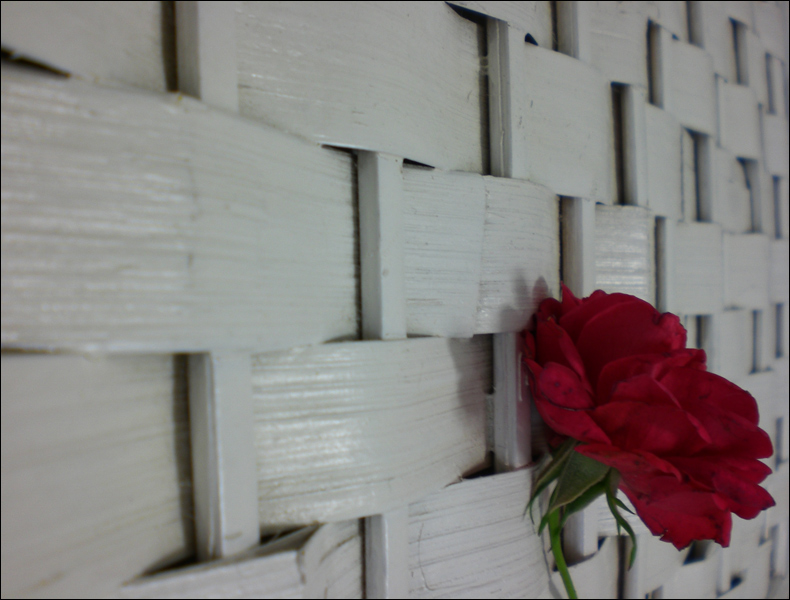 Photography by WhiteFly for DesignCrowd (Community Contests) | Design #8978742