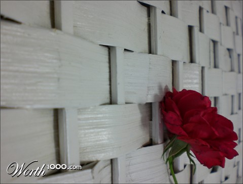 Photography by WhiteFly