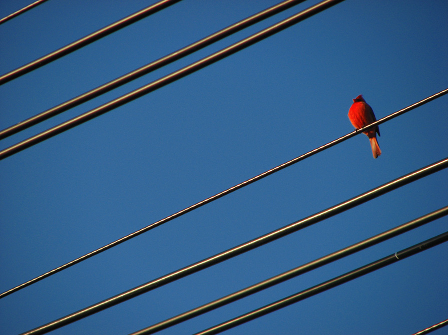 Photography by pwis0807 for DesignCrowd (Community Contests) | Design #8978698