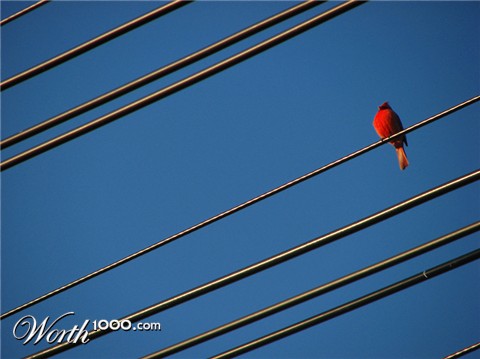 Photography by pwis0807