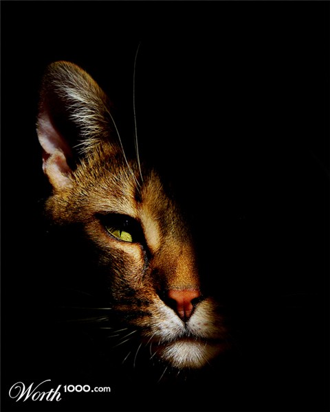 Photography by scotty2hotty