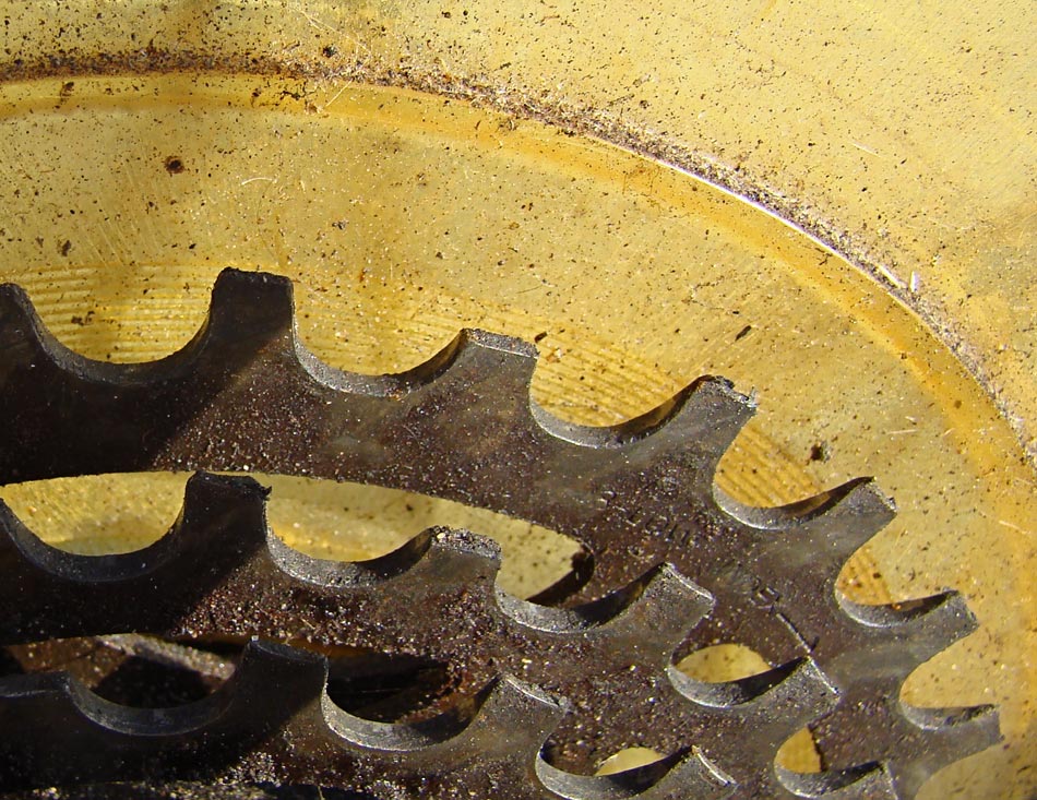 Photography by SallySmyth for DesignCrowd (Community Contests) | Design #8975033