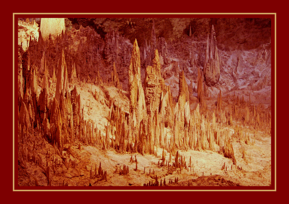 Photography by drdonallen for DesignCrowd (Community Contests) | Design #8979205