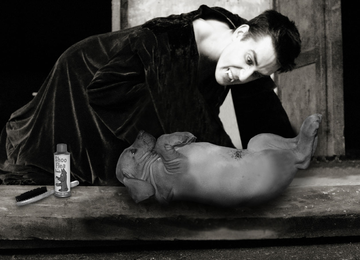 Photoshop-Design von Angelicangellover für DesignCrowd (Community Contests) | Design #8974871