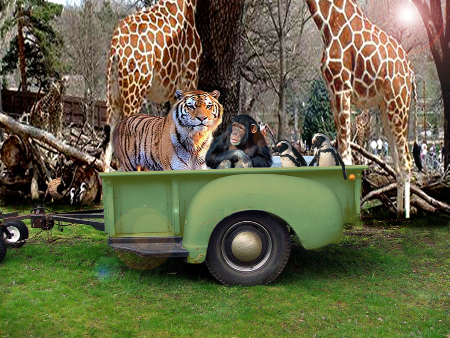 Photoshop Design by eleena07 for DesignCrowd (Community Contests) | Design #8980705