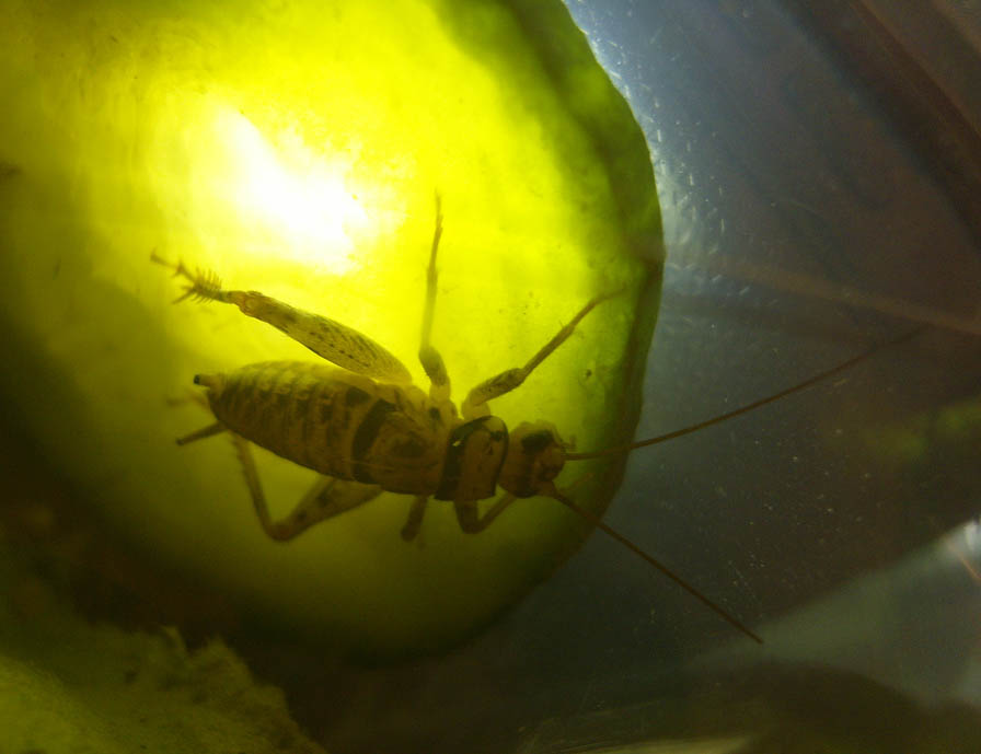 Photographie par mush2274 pour DesignCrowd (Community Contests) | Design #8977741