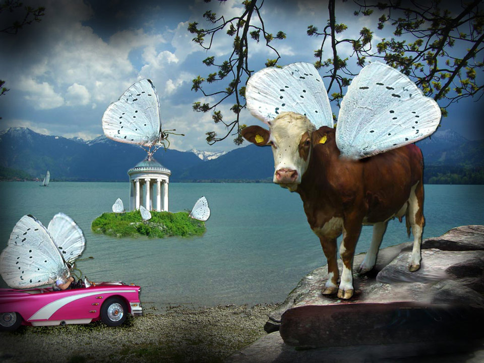 Photography by redcats for DesignCrowd (Community Contests) | Design #8979266