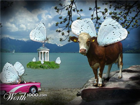 Photography by redcats