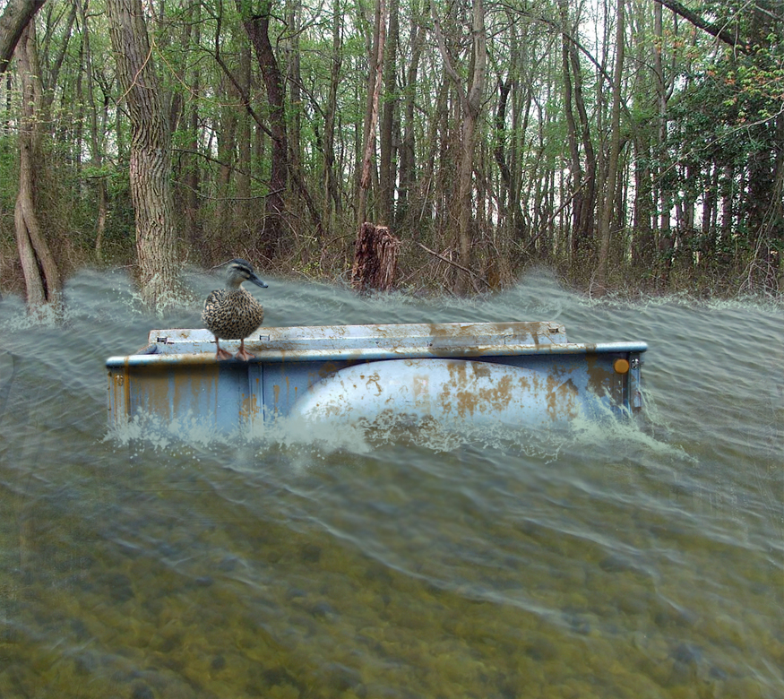 Diseño de Photoshop por lucimine para DesignCrowd (Community Contests) | Diseño #8980780