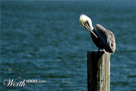 Photography by Jawizza