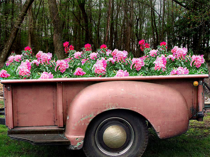 Photoshop Design by WildChildBaby for DesignCrowd (Community Contests) | Design #8980785