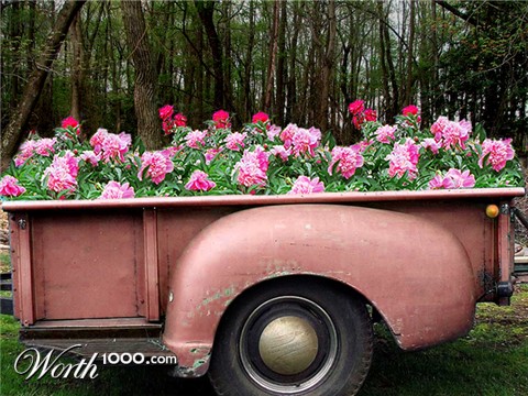 Photoshop Design by WildChildBaby