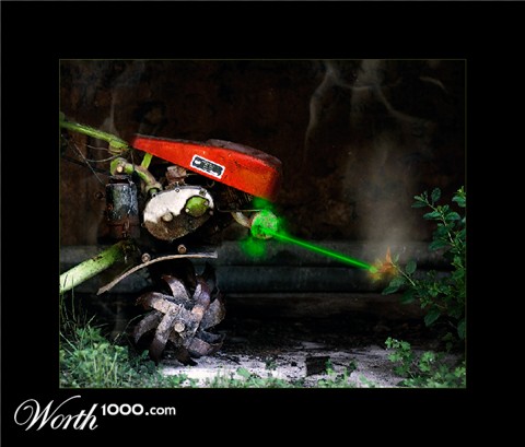 Photography by damas100