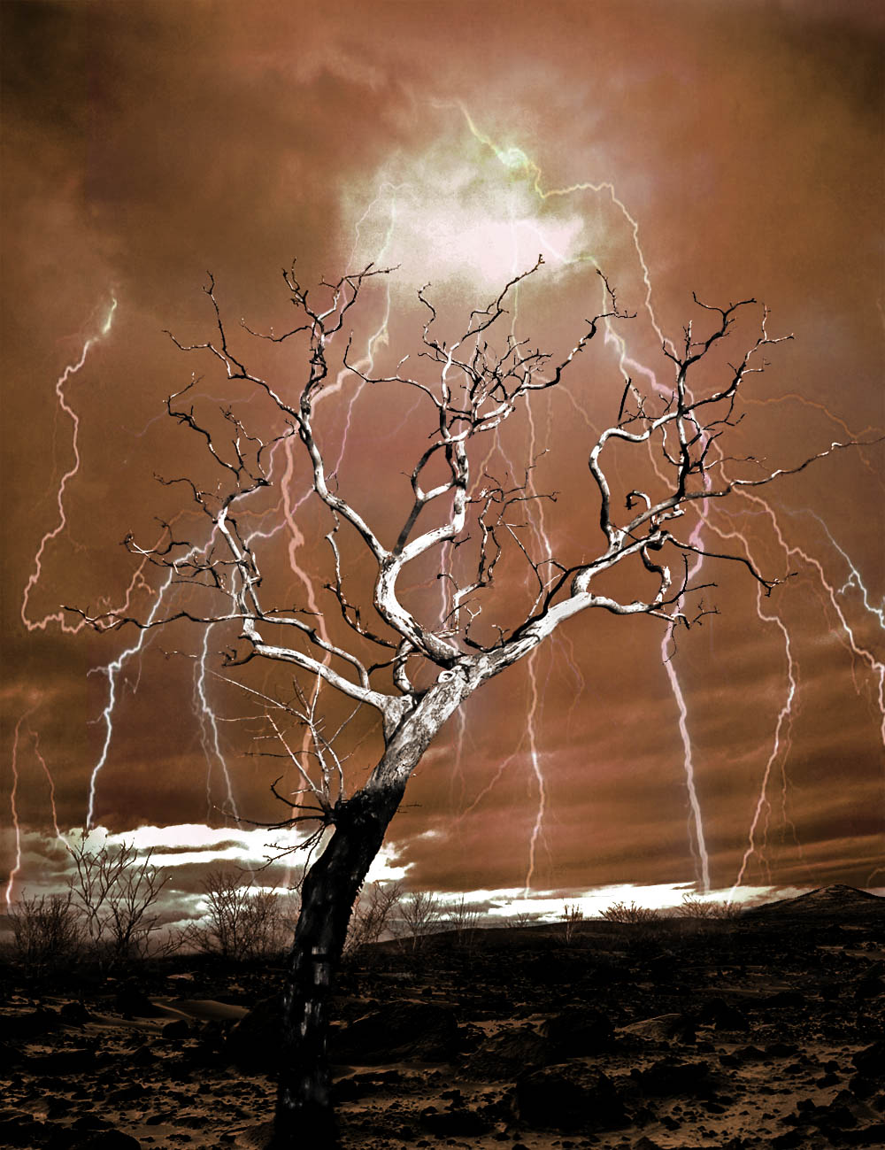 Diseño de Photoshop por Biddee para DesignCrowd (Community Contests) | Diseño #8980749