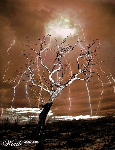 Photoshop Design by Biddee