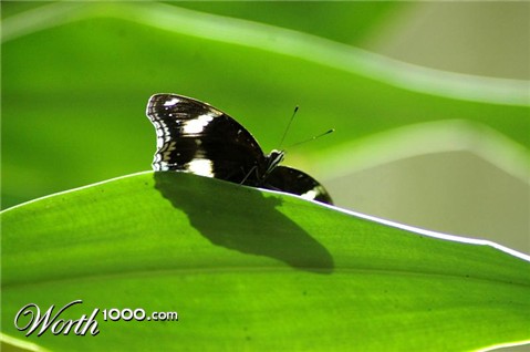 Photography by easwar123