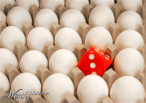 Photography by pinkfly