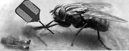 Photoshop Design by Harmony27 for DesignCrowd (Community Contests) | Design #8979353