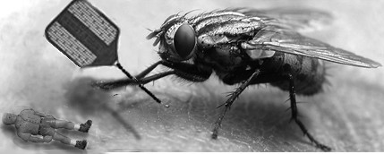 Photoshop Design by Harmony27