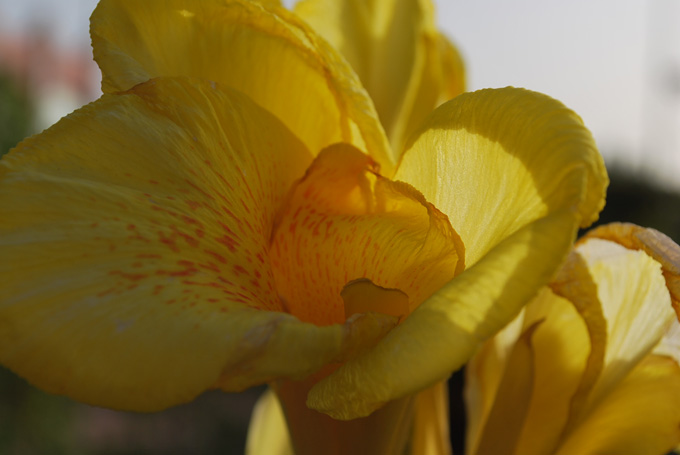 Fotografía por yaradabbagh para DesignCrowd (Community Contests) | Diseño #8977763