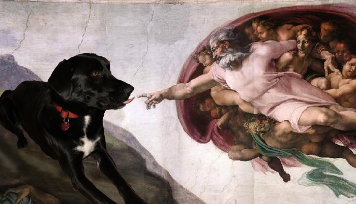 Photoshop Design by redcats for DesignCrowd (Community Contests) | Design #8979429