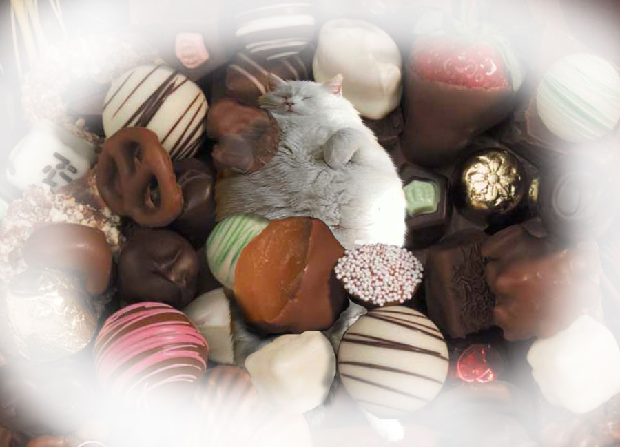 Photoshop Design by eleena07 for DesignCrowd (Community Contests) | Design #8979418