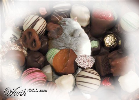 Photoshop Design by eleena07