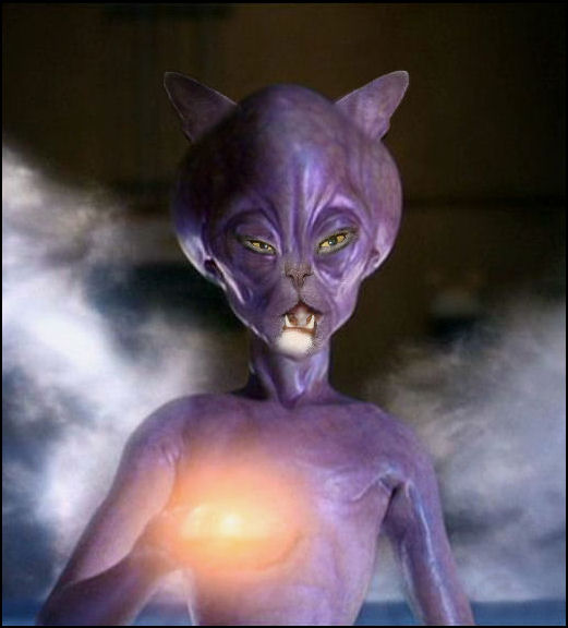 Photoshop Design by mandabear1023 for DesignCrowd (Community Contests) | Design #8979406