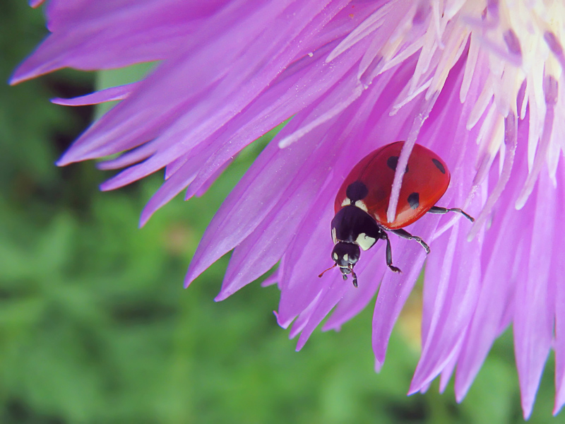 Photography by Mikeleus for DesignCrowd (Community Contests) | Design #8974351