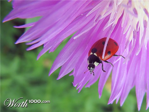 Photography by Mikeleus