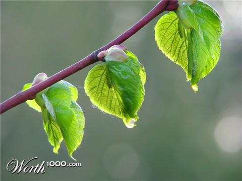 Photography by Mikeleus