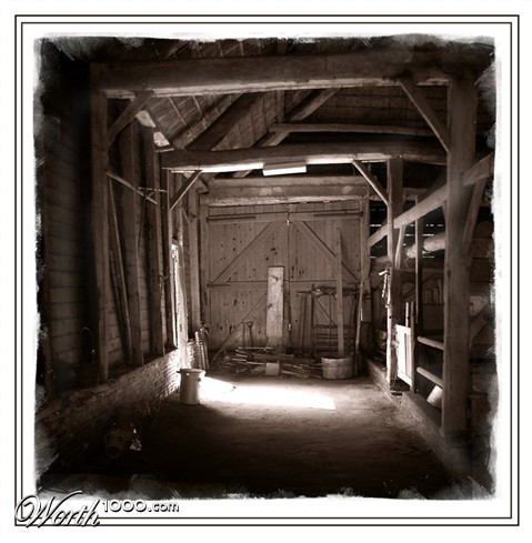 Photography by Marian