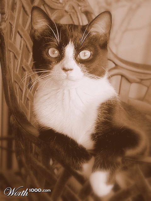 Photography by MDesign