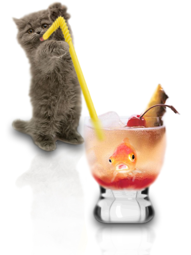 Photoshop-Design von Nonaka für DesignCrowd (Community Contests) | Design #8979425