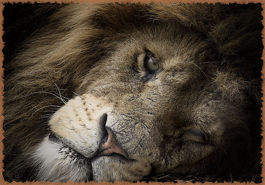 Fotografie von Redbull_UK für DesignCrowd (Community Contests) | Design #8971581