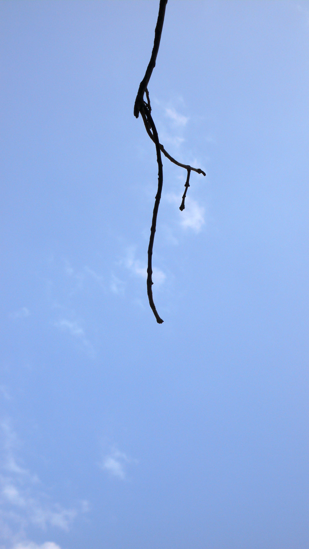 Photography by sausirhi for DesignCrowd (Community Contests) | Design #8978795